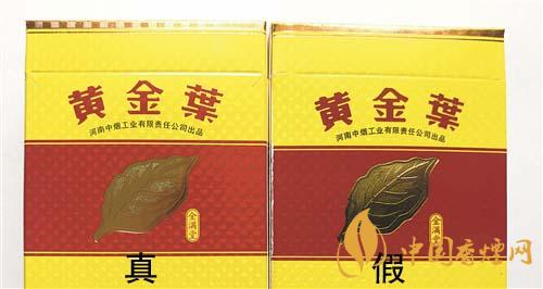 如何辨別黃金葉金滿堂真假？2020黃金葉真假辨別詳情對比