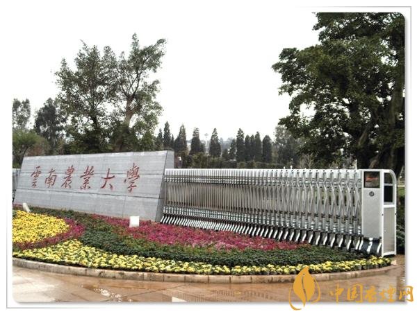 煙草專業(yè)大學(xué)排名，煙草專業(yè)就業(yè)前景好