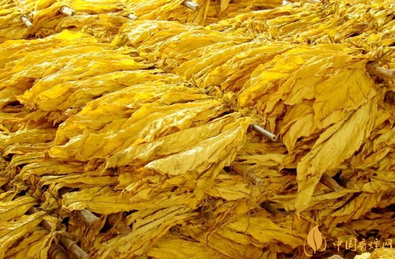 有機(jī)煙葉是什么，有機(jī)煙葉和普通煙葉的區(qū)別