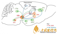 煙癮是什么 煙癮犯了怎么辦！