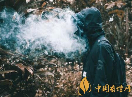 未成年人吸煙有什么危害 青少年吸煙對身體的危害介紹！