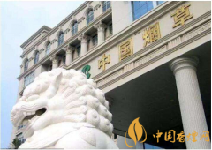 國家發(fā)話了：煙草系統(tǒng)腐敗制度不夠透明必須整治！